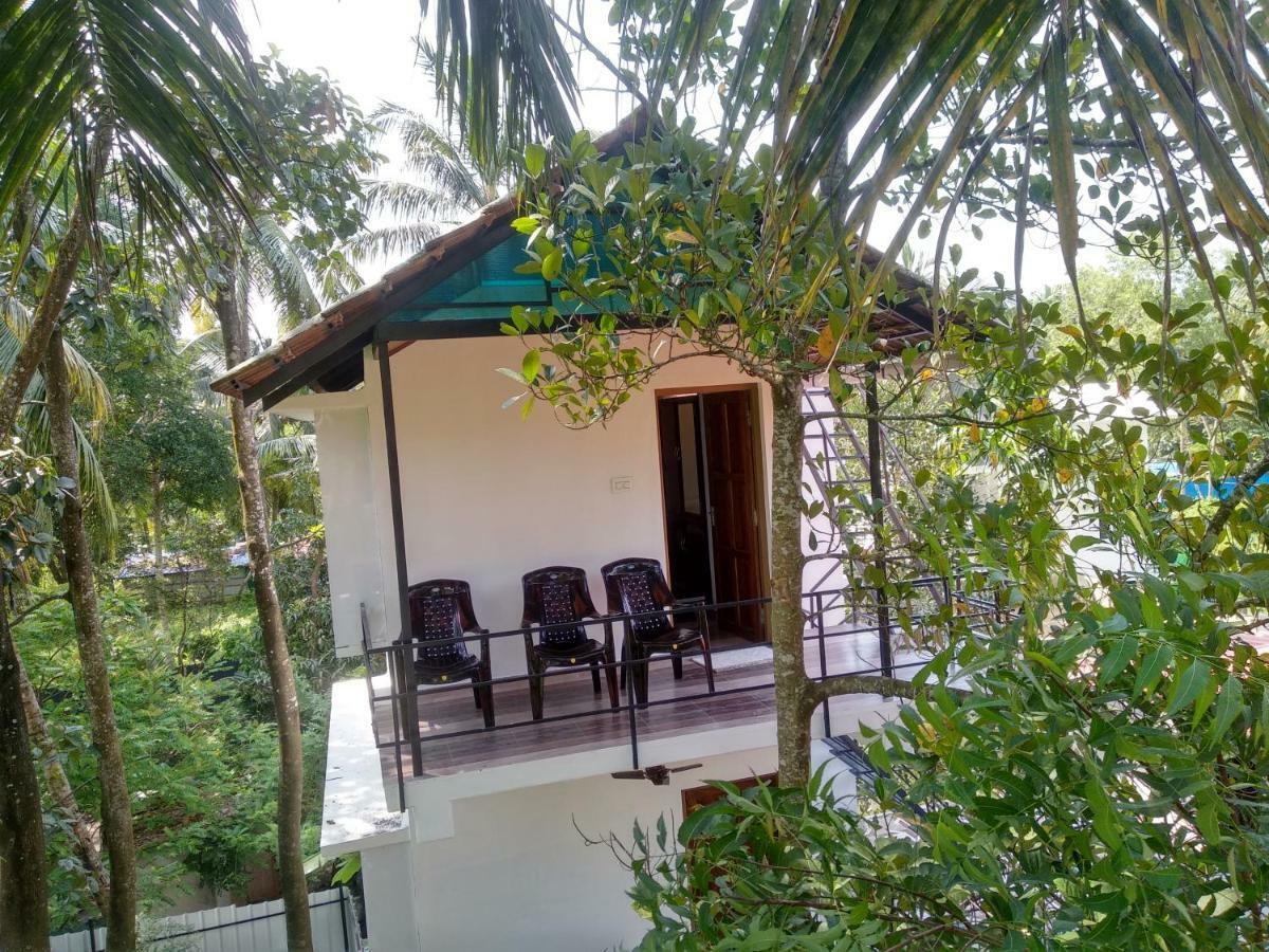 Blue Birds Homestay Cherai Beach Luaran gambar